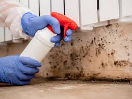 Best Water Damage & Mold Remediation  in Midland City, AL